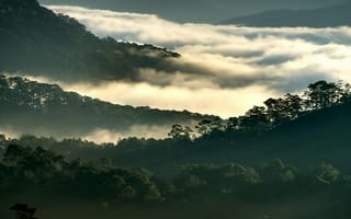 Картинка горы, туман, природа, пейзаж, лес, утро, мгла