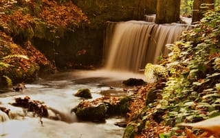 Картинка водопад, природа, река, осень, лес, пейзаж, мягкий свет