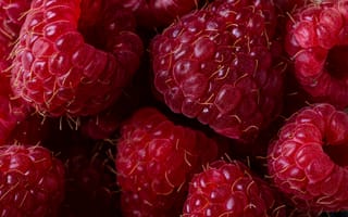 Картинка малина, ягоды, фрукты, еда, натуральный, красный, десерт, вкусно