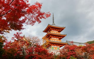 Картинка храм, осень, японская архитектура, красные листья, пейзаж, природа, туризм