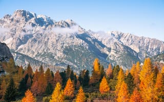 Картинка горы, осень, природа, пейзаж, деревья, солнце, небо
