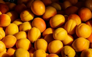 Картинка абрикосы, фрукты, лето, еда, натюрморт, желтый, свежий