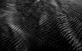 Картинка песок, текстура, черно-белый, природа, абстракция, узоры, поверхность