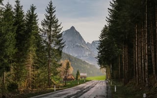 Картинка горы, лес, дорога, пейзаж, природа, дом, осень
