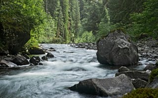 Картинка река, природа, лес, камни, пейзаж, вода, зелень, поток, тишина, отдых