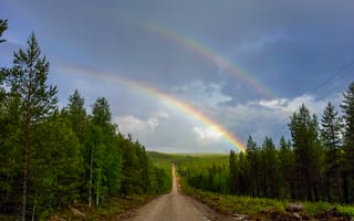 Картинка дождь, радуга, лес, дорога, природа, пейзаж, небо
