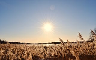 Картинка солнце, природа, пейзаж, водоем, травы, небо, освещение