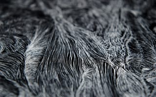 Картинка текстура, черно-белый, абстракция, микро, линии, арт, фон