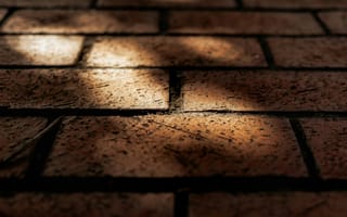 Картинка кирпичи, пол, текстура, свет, тень, декор, природа