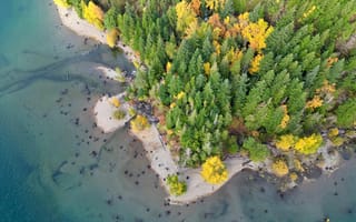 Картинка природа, лес, осень, водоем, пейзаж, деревья, берег