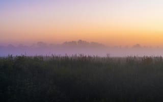 Картинка утро, туман, пейзаж, природа, закат, трава, спокойствие