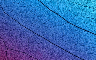 Картинка фоновое, абстракция, цвет, текстура, графика, дизайн, красота