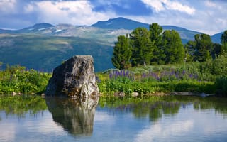 Картинка природа, пейзаж, горы, озеро, камень, деревья, цветы, отражение, небо, зелень
