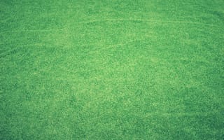 Картинка трава, зелёный, фоновое, природа, обои, пейзаж, естественный