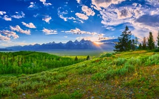 Картинка природа, горы, закат, пейзаж, небо, лес, зелень