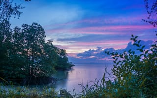Картинка природа, закат, море, деревья, пейзаж, небо, водоем, отражение, покой, красота