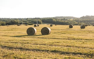 Картинка пейзаж, сено, поле, природа, лето, солнце, холмы