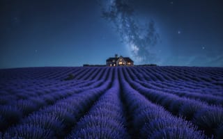 Картинка лаванда, ночь, дом, пейзаж, звезды, поля, природа