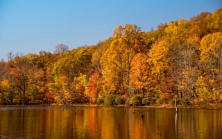Картинка осень, пейзаж, природа, водоем, деревья, отражение, цвета