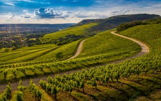 Картинка виноградники, пейзаж, природа, горы, дорога, небо, лето