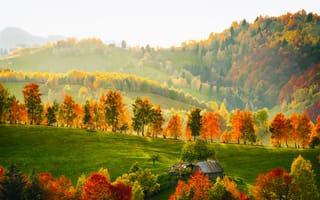 Картинка осень, пейзаж, природа, деревья, холмы, домик, цвета