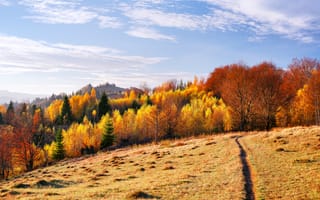 Картинка осень, пейзаж, природа, деревья, небо, тропа, горы