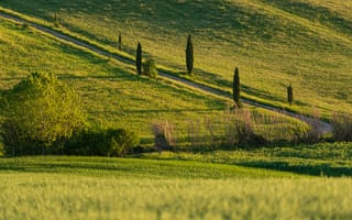 Картинка пейзаж, природа, зелень, дорога, холмы, деревья, лето
