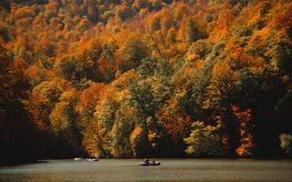Картинка осень, природа, озеро, лес, пейзаж, плавание, цвета