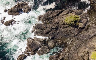 Картинка море, скалы, природа, пейзаж, волны, дерево, отдых