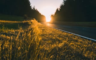 Картинка закат, природа, дорога, трава, пейзаж, солнце, лес