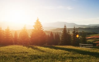 Картинка природа, горы, лес, закат, пейзаж, солнце, трава