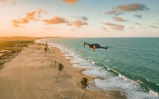 Картинка дрон, пляж, океан, пейзаж, пальмы, закат, песок