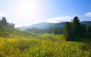 Картинка природа, пейзаж, горы, солнце, лес, зелень, небо