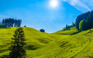 Картинка пейзаж, природа, горы, небо, трава, дом, лес, солнце, зеленый, отдых