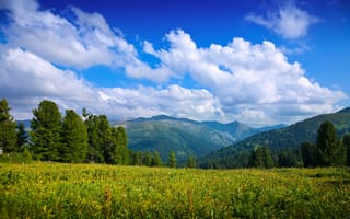 Картинка природа, горы, небо, облака, лес, пейзаж, зелень, лето, отдых, красота