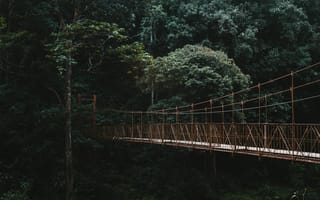 Картинка мост, лес, природа, пейзаж, зелень, пешеходный, деревья, тропинка