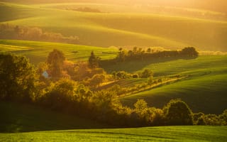 Картинка пейзаж, природа, солнце, зелень, холмы, деревья, освещение