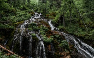 Картинка водопад, природа, лес, пейзаж, зелень, камни, вода