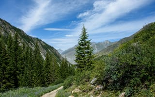Картинка природа, горы, лес, пейзаж, небо, тропа, зелень, отдых, пейзажный, красота