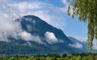 Картинка горы, природа, облака, лес, пейзаж, небо, зелень