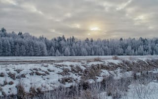 Картинка зима, снег, лес, природа, закат, холод, пейзаж