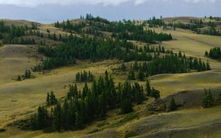 Картинка природа, пейзаж, лес, горы, зелень, отдых, пейзажный фон