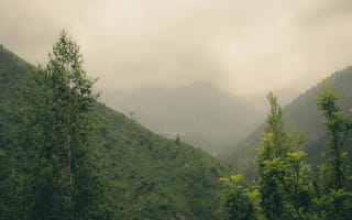 Картинка горы, природа, пейзаж, туман, лес, зелень, пейзажные обои