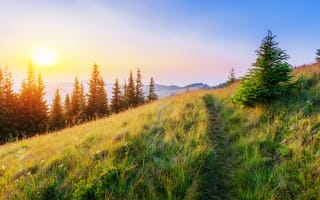 Картинка природа, закат, лес, пейзаж, трава, горы, путь