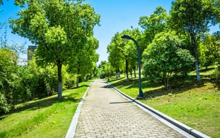 Картинка парк, природа, деревья, пешеходная дорожка, лето, ландшафт, зелень