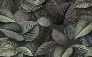 Картинка листья, природа, обои, зелень, фон, растения, текстура