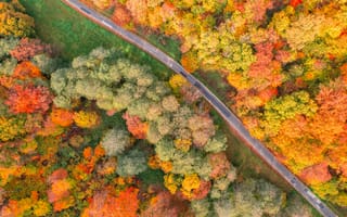 Картинка осень, пейзаж, деревья, природа, дорога, цвета, лес