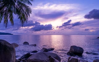 Картинка пейзаж, море, закат, камни, пальмы, небо, облака