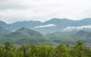 Картинка горы, природа, пейзаж, лес, облака, зелень, туман