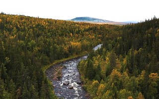 Картинка природа, река, лес, осень, пейзаж, горы, зеленый